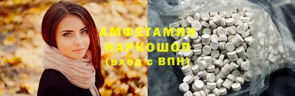 гашик Алексин