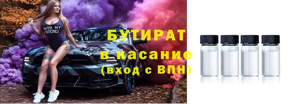 гашик Алексин