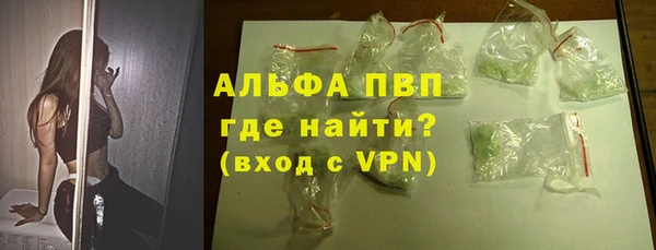 гашик Алексин