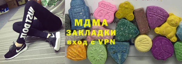 гашик Алексин