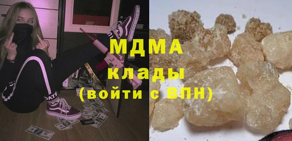 гашик Алексин