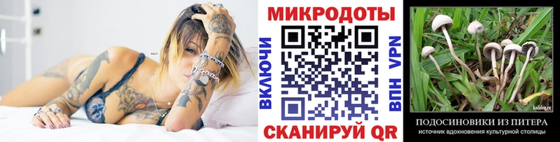 Псилоцибиновые грибы мицелий  цена   Змеиногорск 